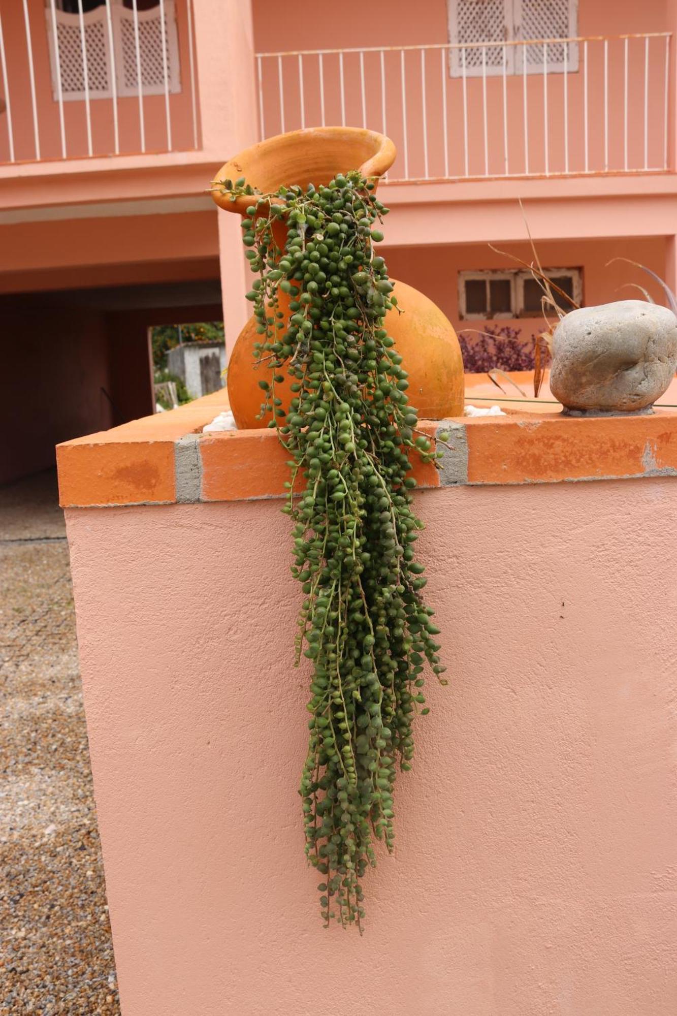 Casa Do Avo Gil Villa Seixo  Bagian luar foto